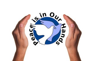 乐鱼体育app下载地址-决赛教练战术对决吸引全球关注,比赛中教练挑战是什么意思