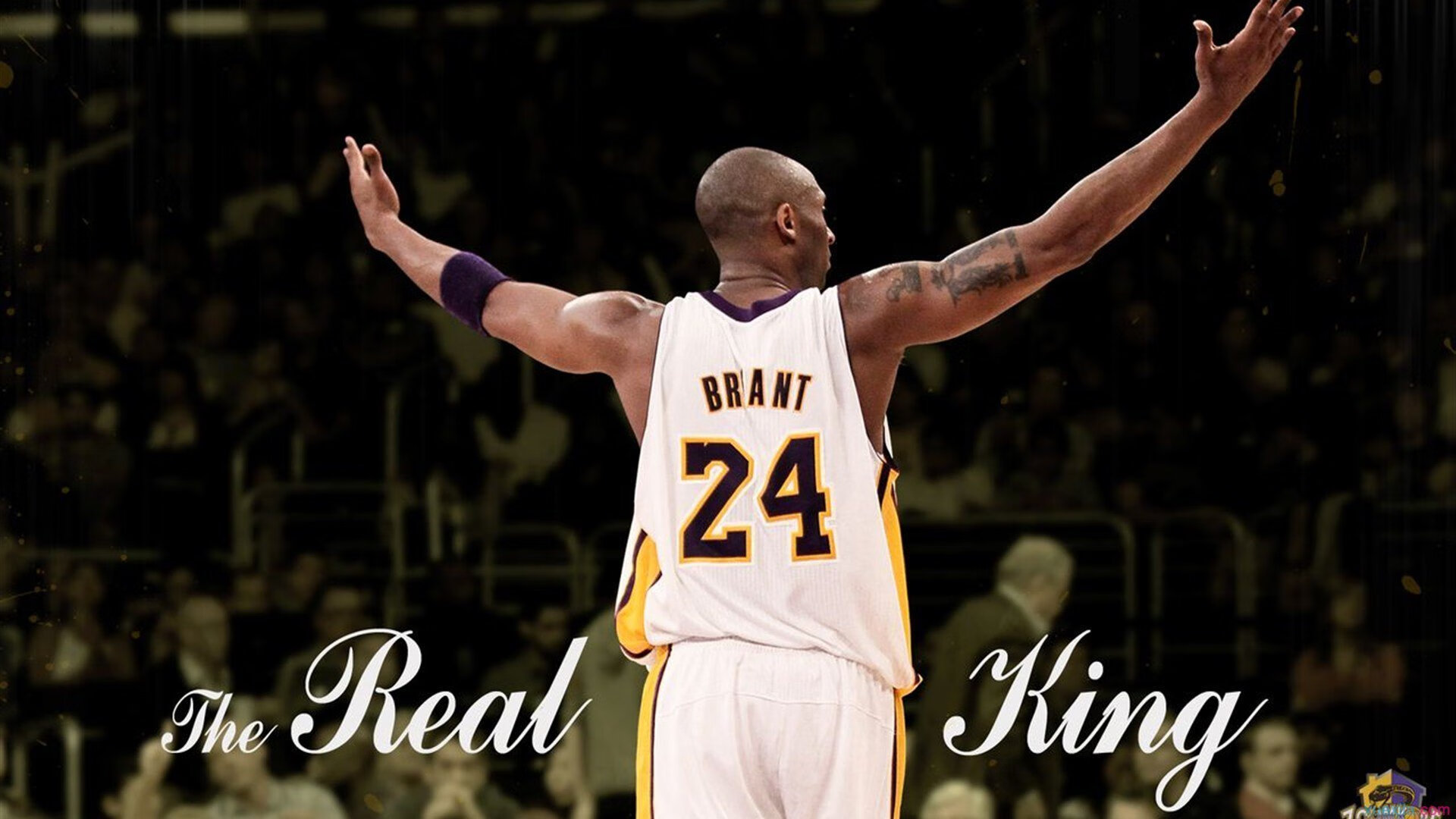 乐鱼官网-“2025世界运动会:四川省体育馆拳击赛场上演世界顶级拳手对决”