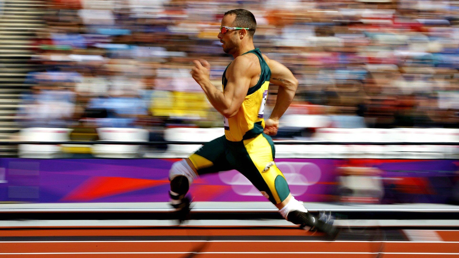 乐鱼体育官网登录-包装工四分卫表现出色，传球精准度极高，包装工 四分卫